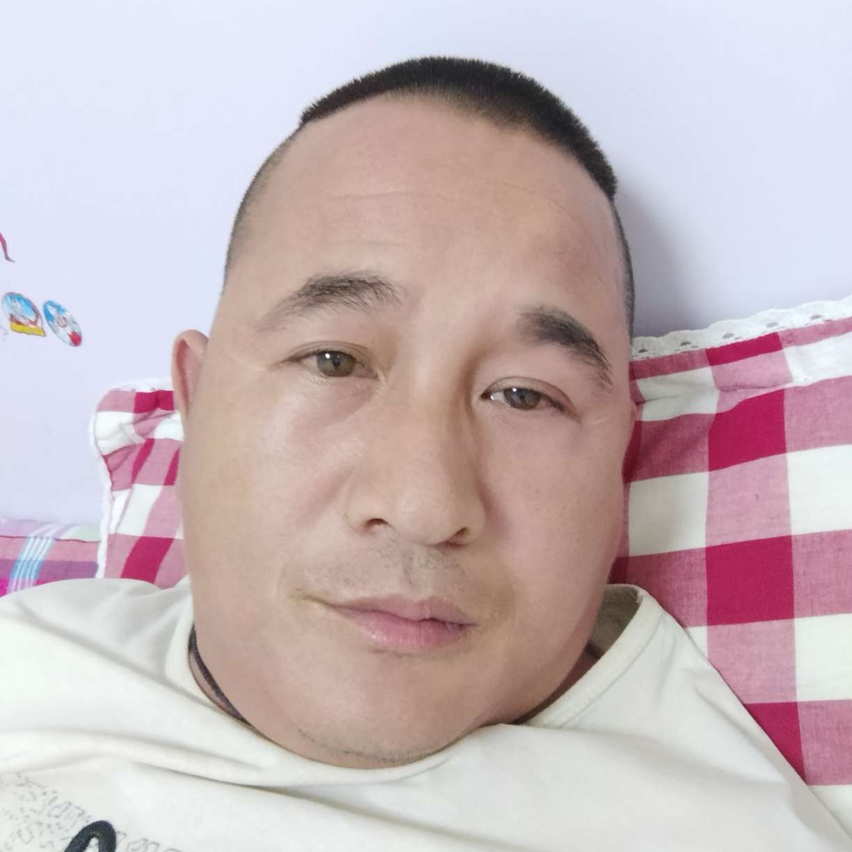 霸气说黄豆的照片