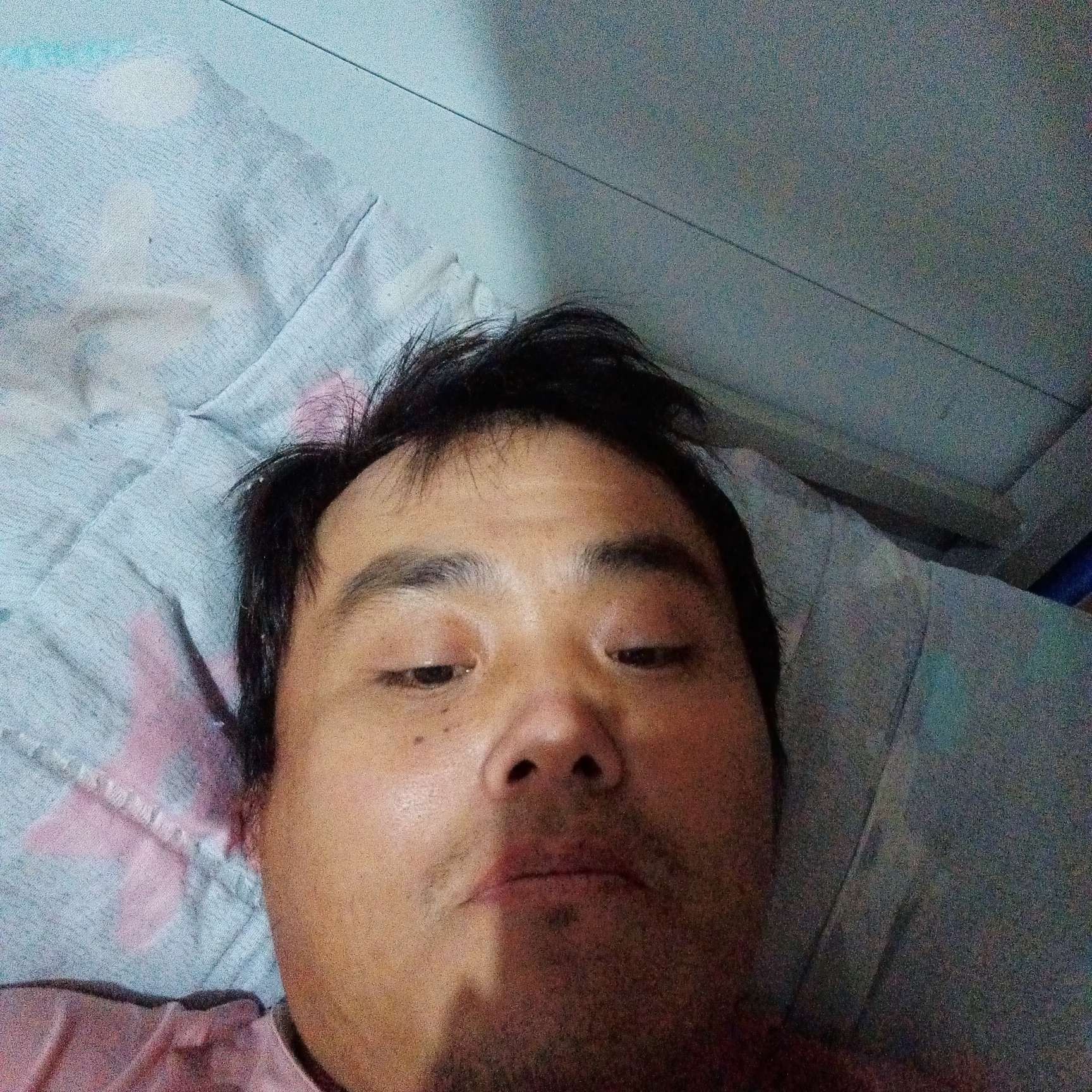 激情苦恋小白菜的照片