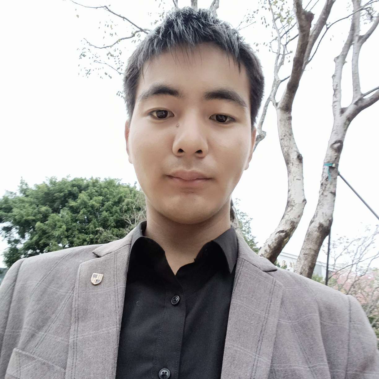铅笔的眼泪的照片