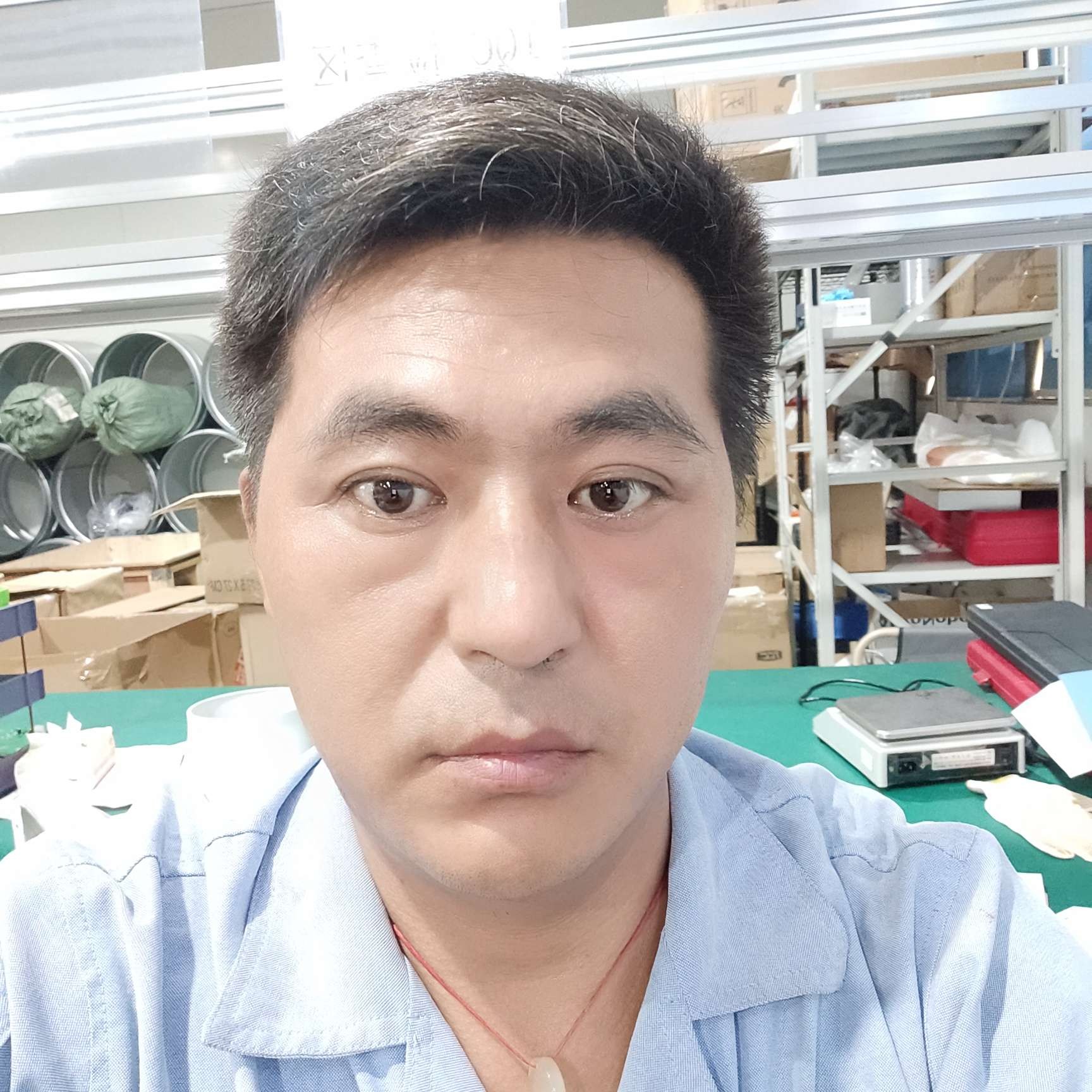 美好的绿草的照片