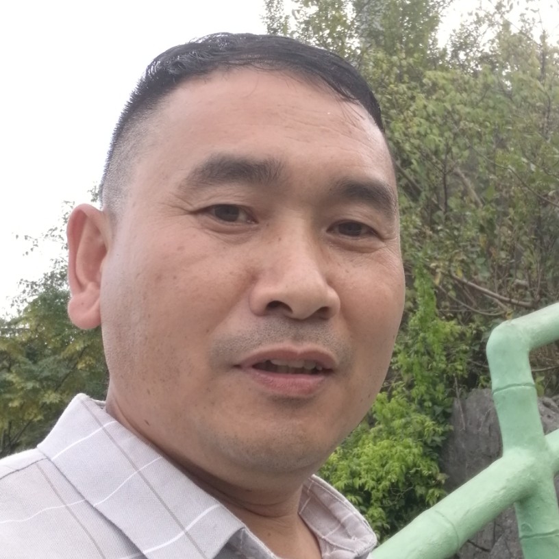 飞鸟的哭泣的照片