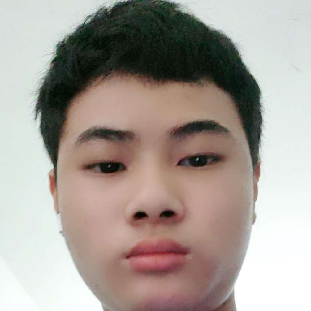 诚心爱恋蚂蚁的照片