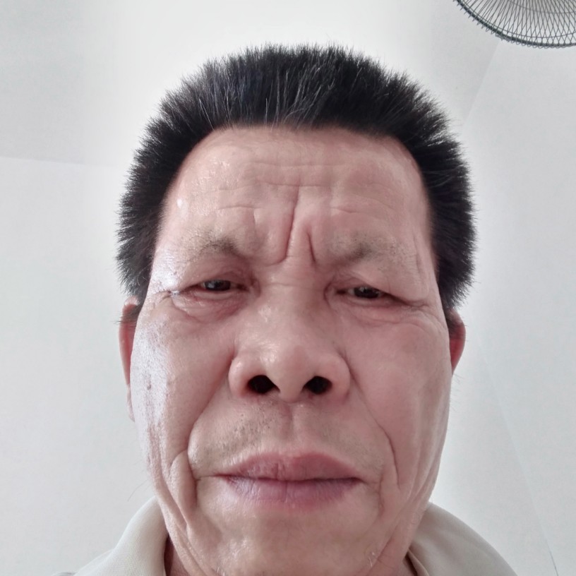 典雅有小蝴蝶的照片