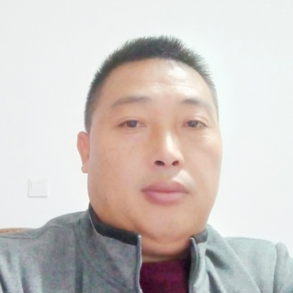 小海豚改变成就的照片