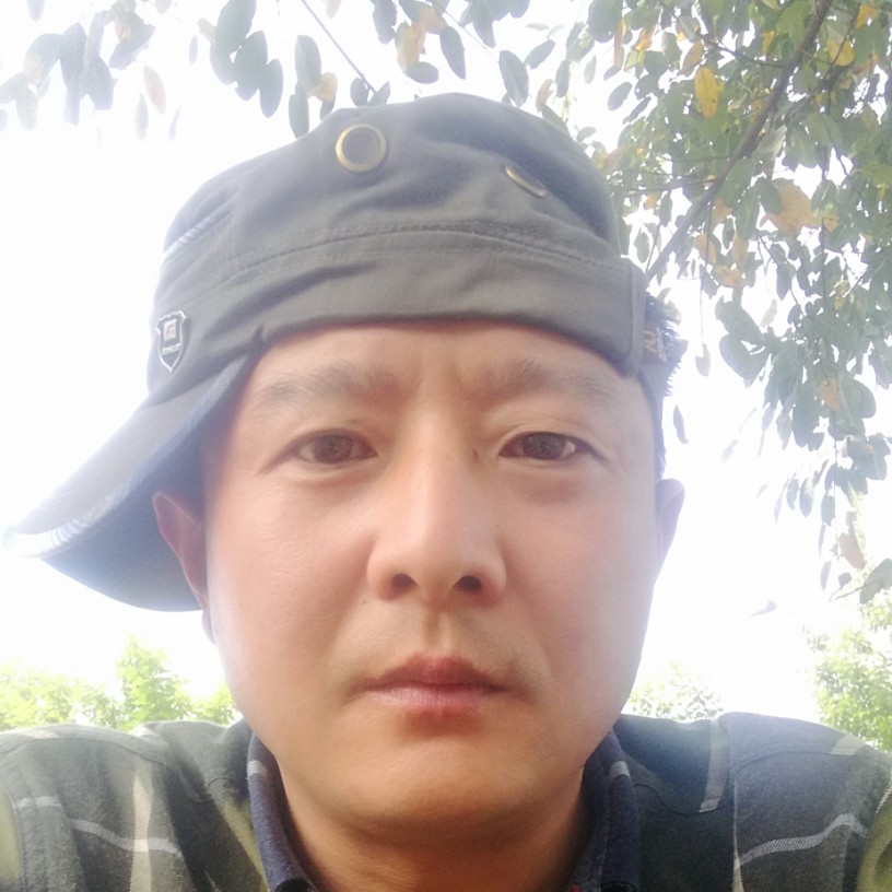 藤蔓长翅膀的照片