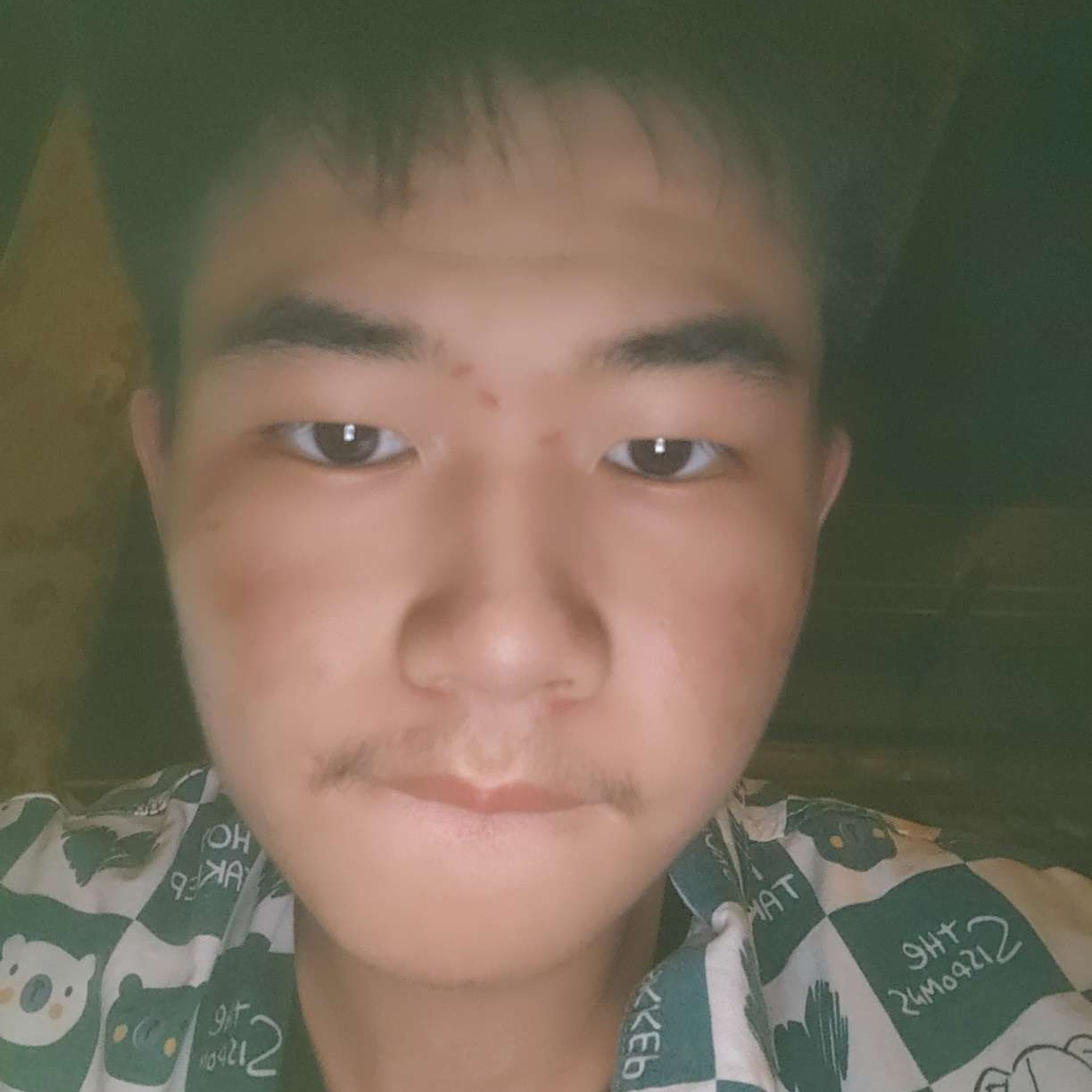 典雅白羊哦哦哦的照片