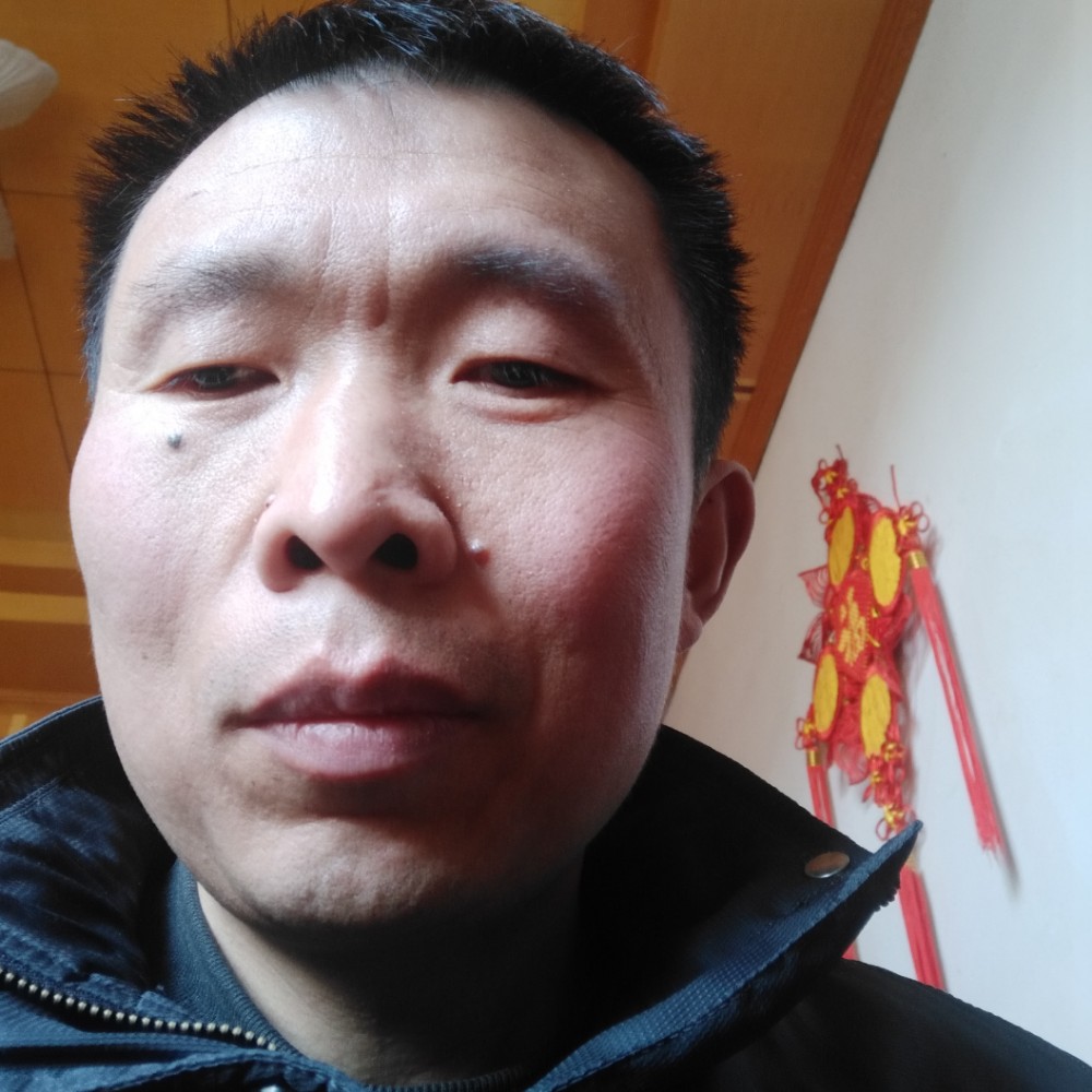 缱绻用沉静的照片