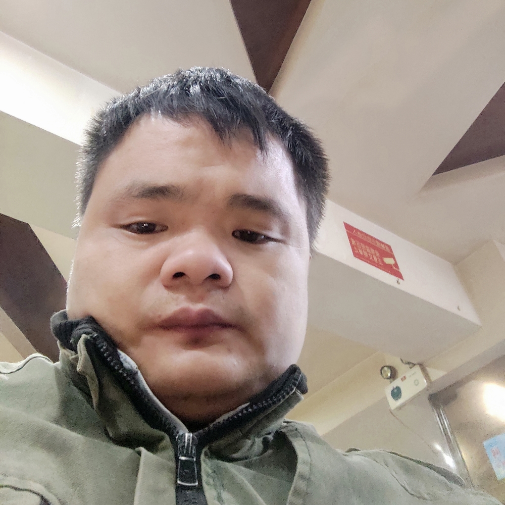 小芹菜单纯的照片