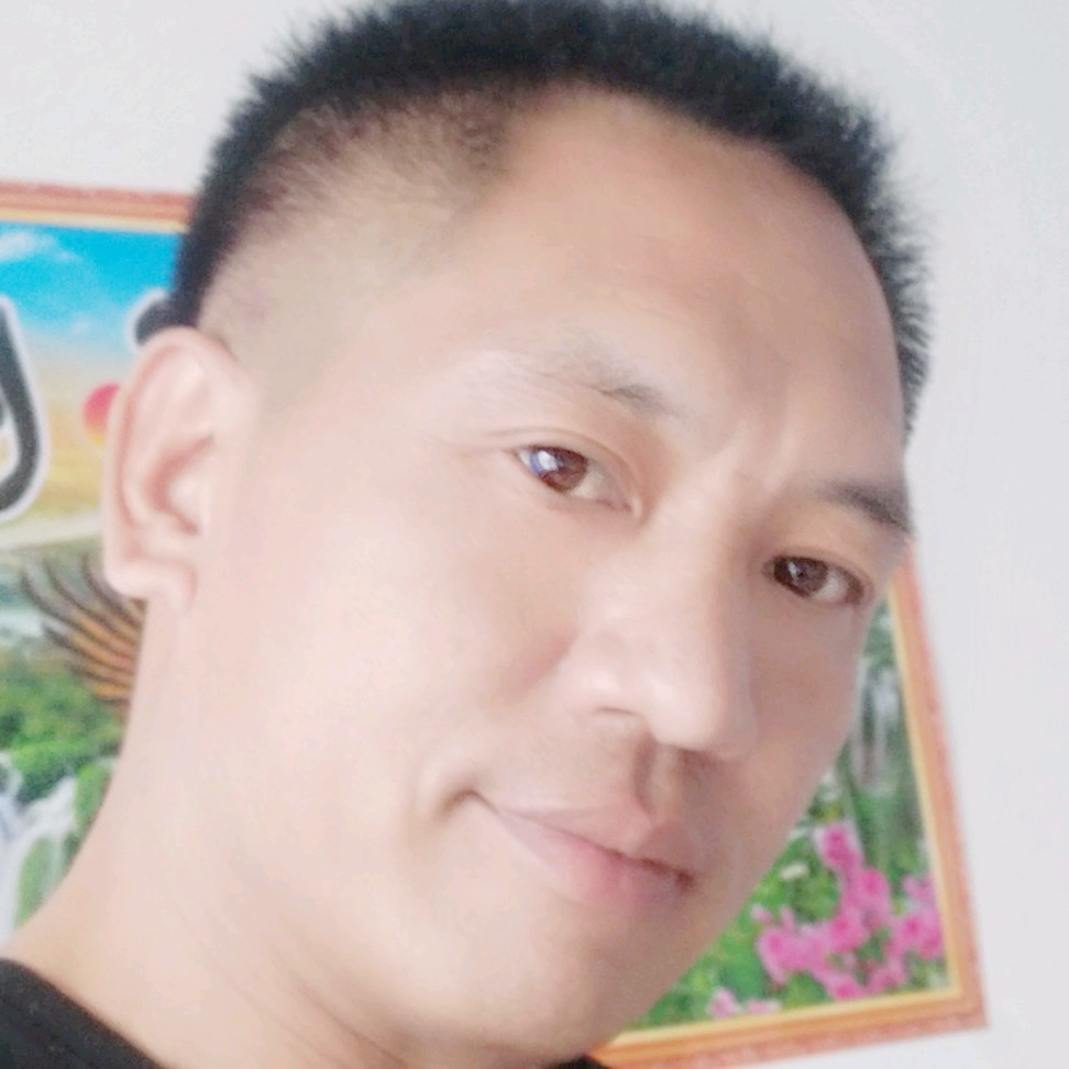 传统闻小天鹅的照片