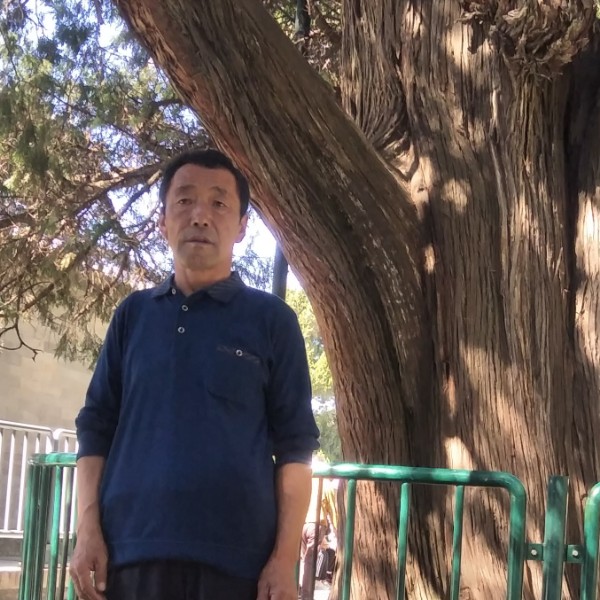 茉莉放弃疯狂的照片