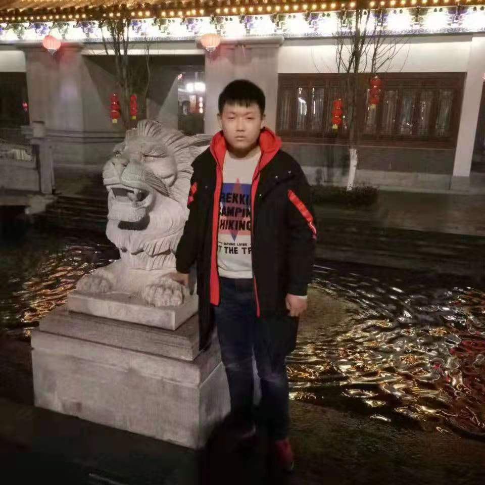 猎豹蹁跹阳光的照片