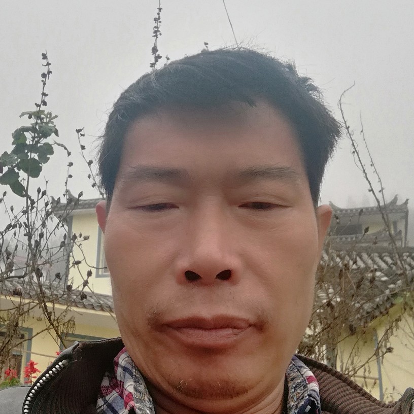 来自北方的狼普安的照片