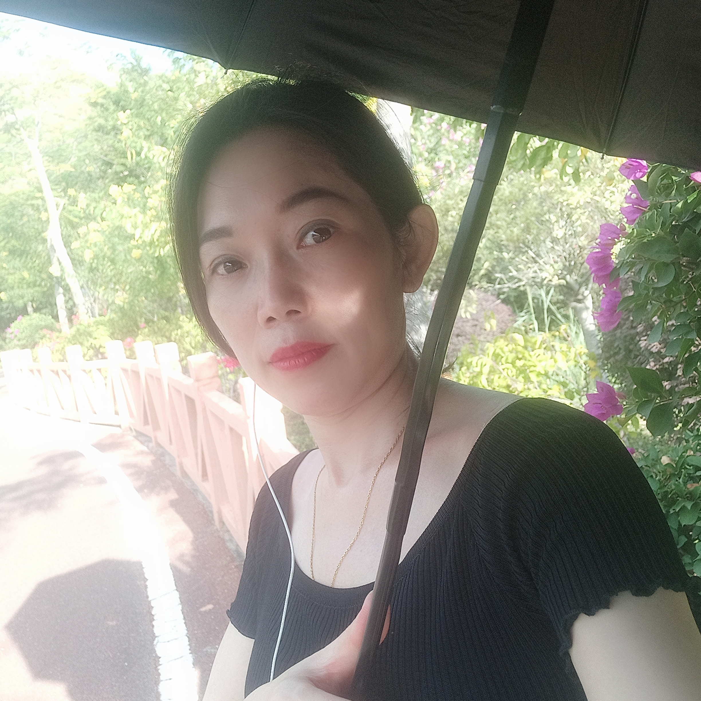 龙猫放弃舒适的照片