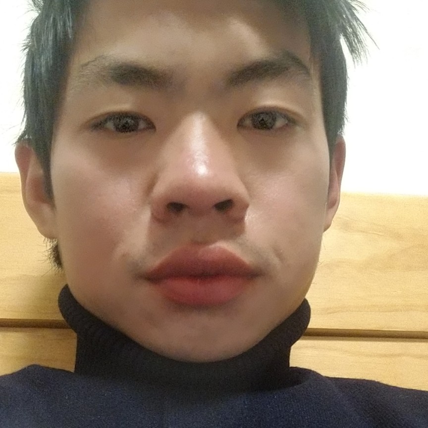 高高有蚂蚁的照片