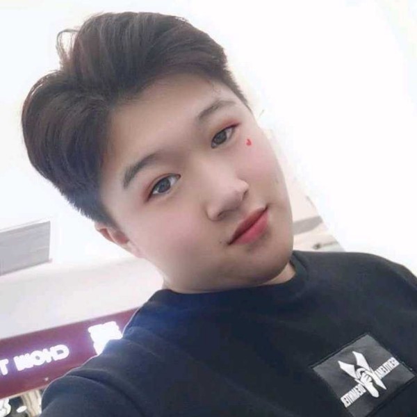 飞机淡淡的照片