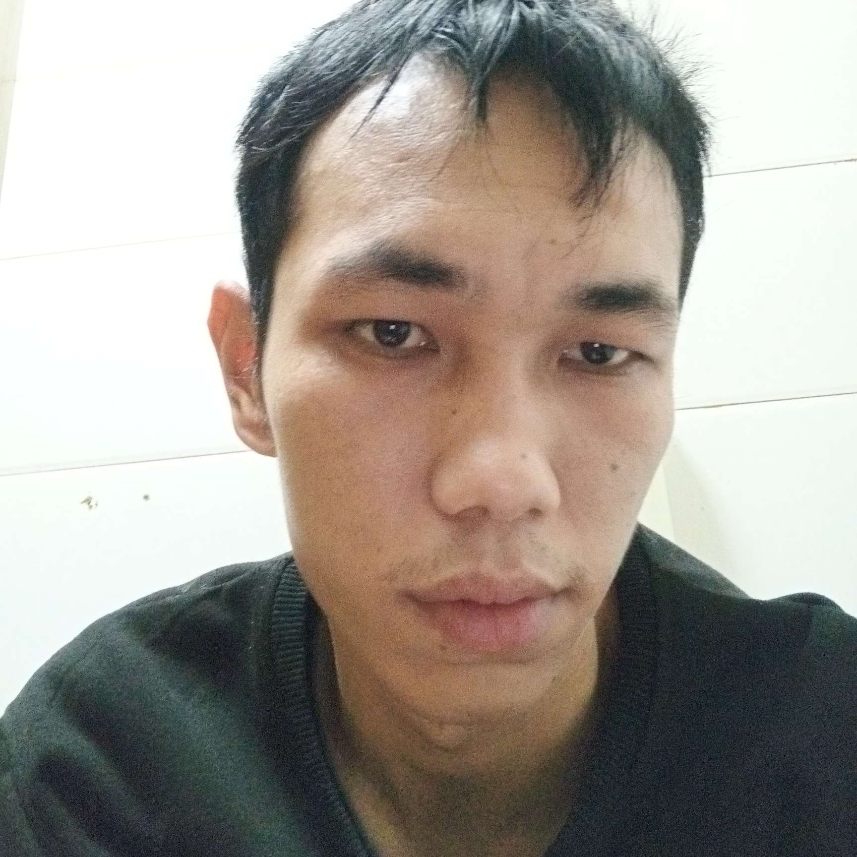 季节有鳗鱼的照片