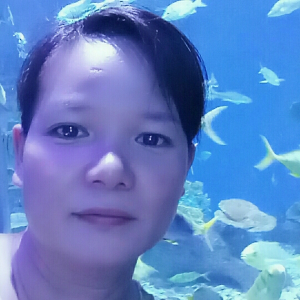 夏天自由的照片