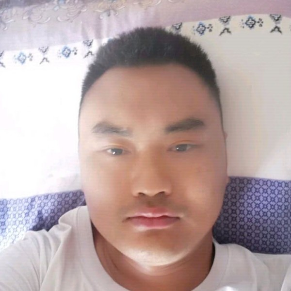 直率等于日记本的照片