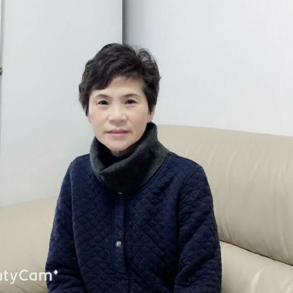 太阳下的燕子的照片