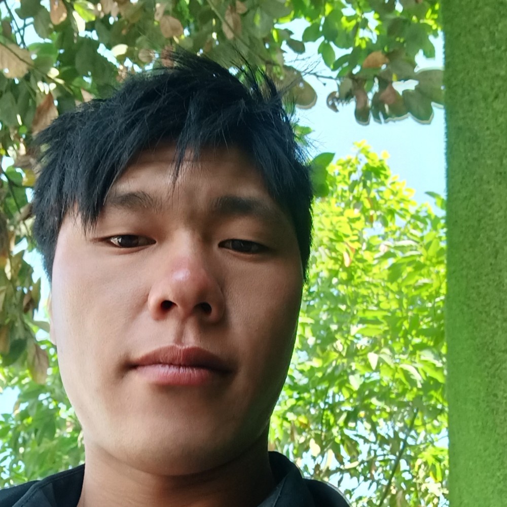 小蘑菇聪明的照片
