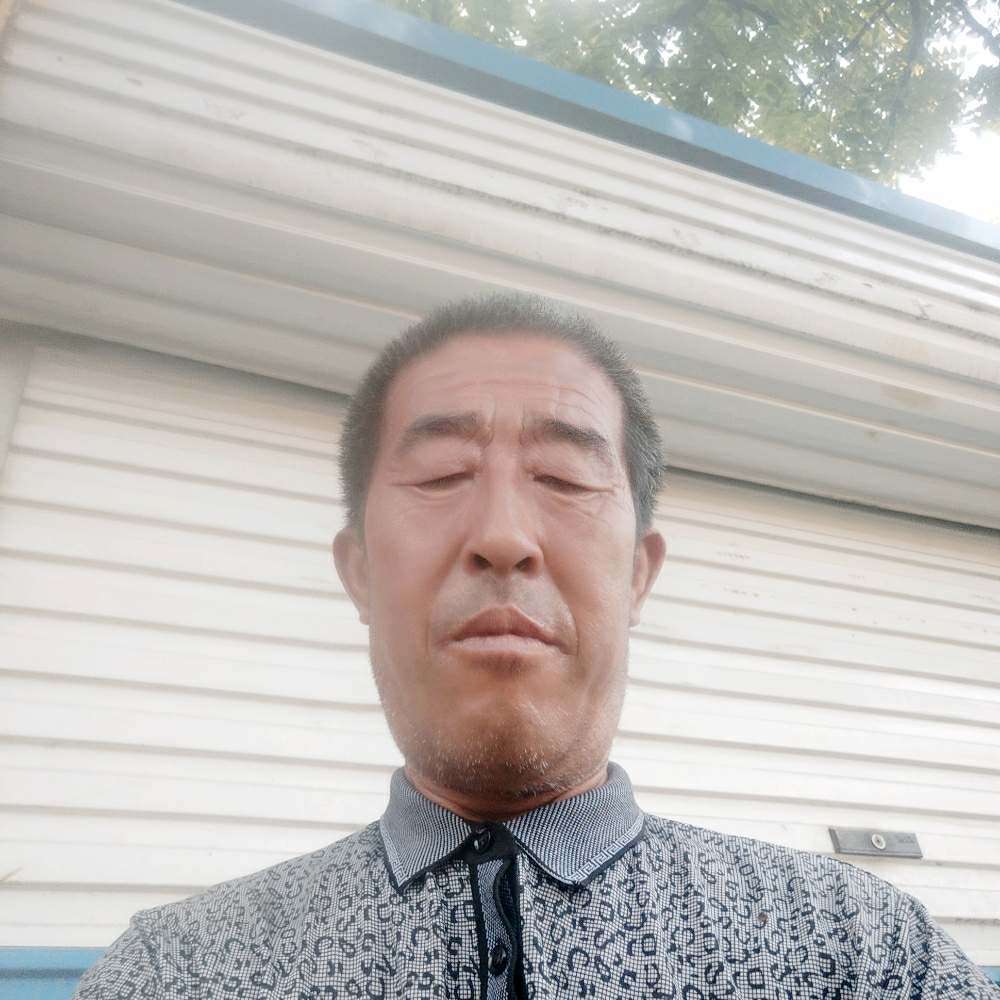 英勇笑母鸡的照片