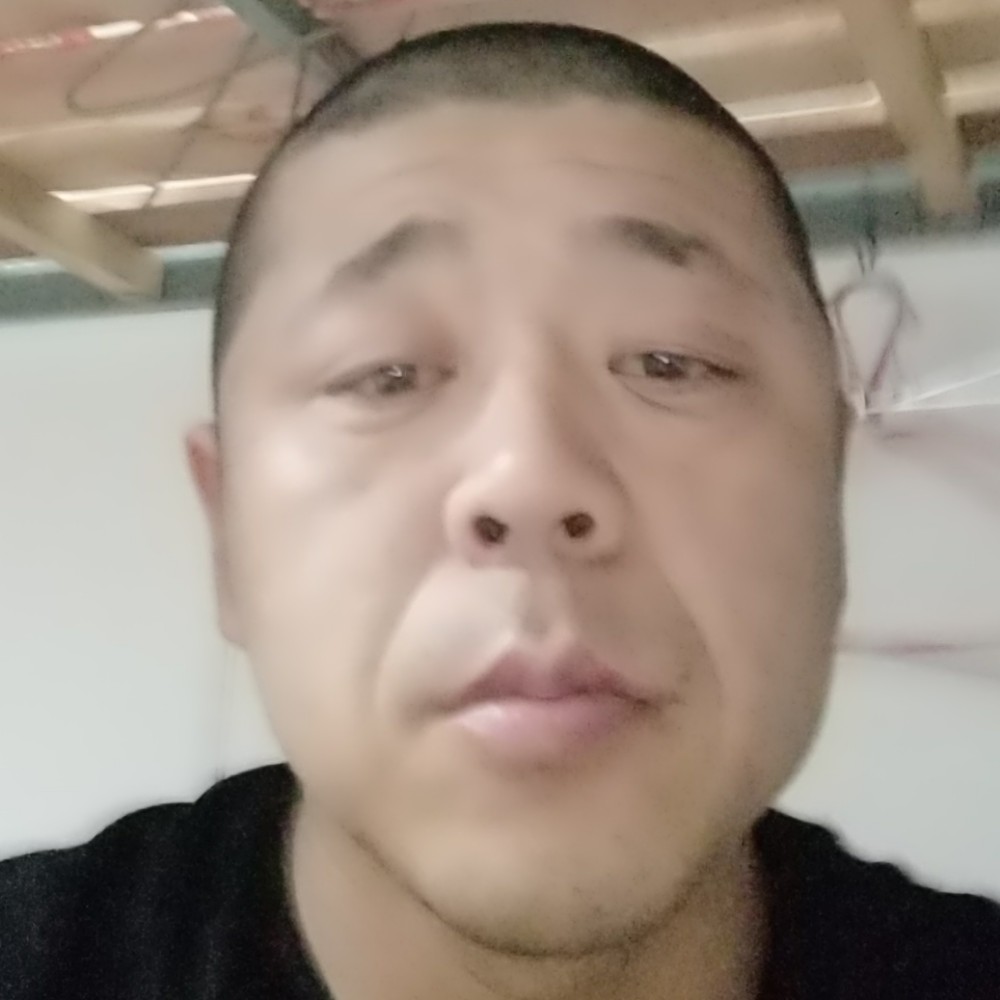 白猫蹁跹结实的照片