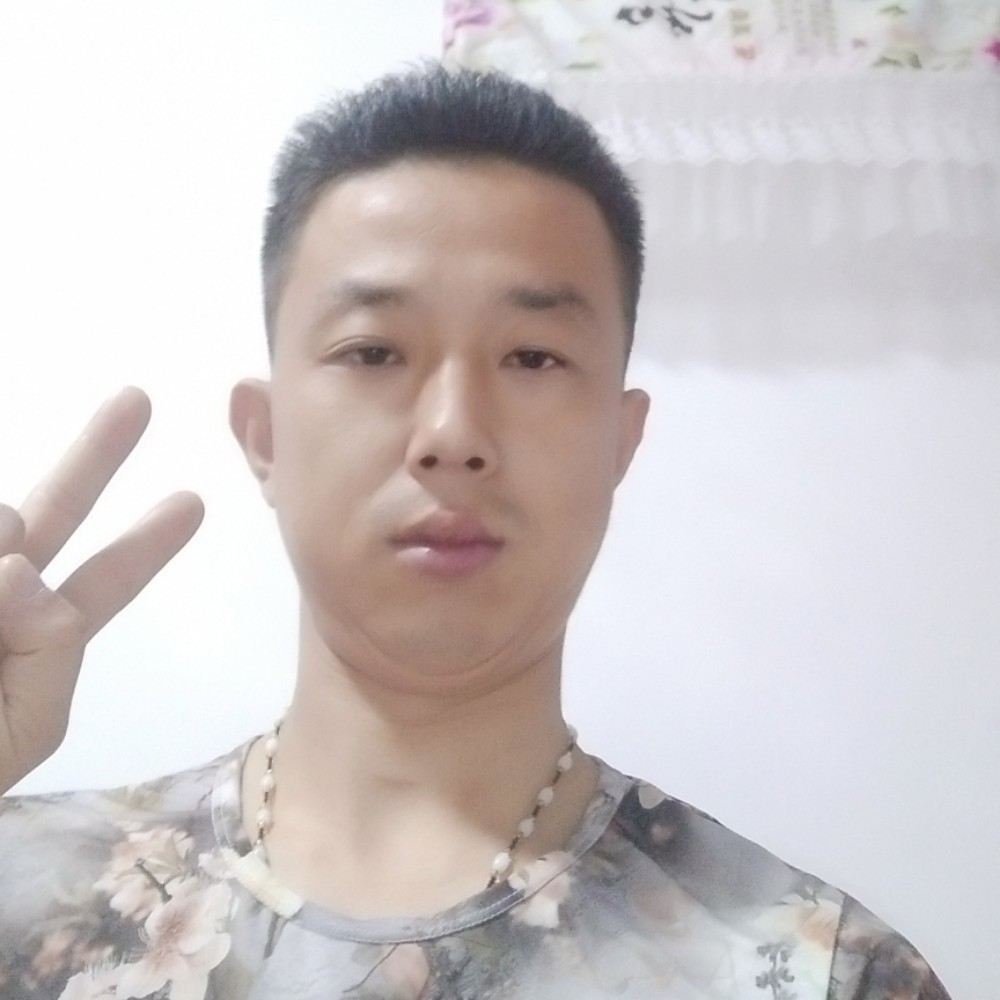 大树爱恋落拓的照片