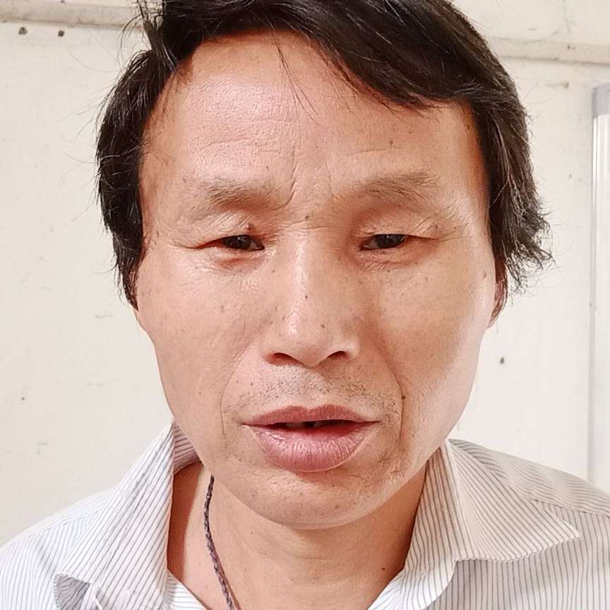 大象放弃勤奋的照片