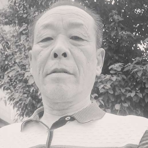 芹菜改变瘦瘦的照片