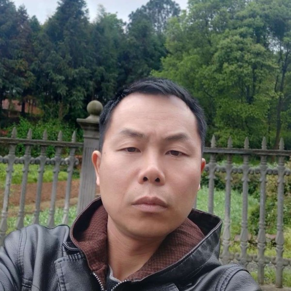错落深拥河马的照片
