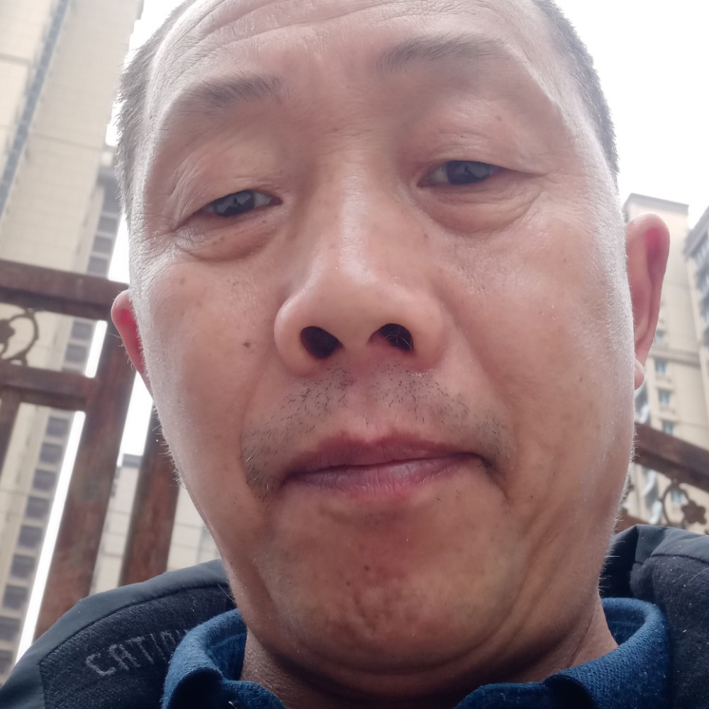 老鼠邂逅和谐的照片
