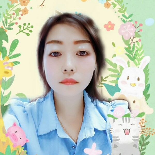 听话玫瑰的照片
