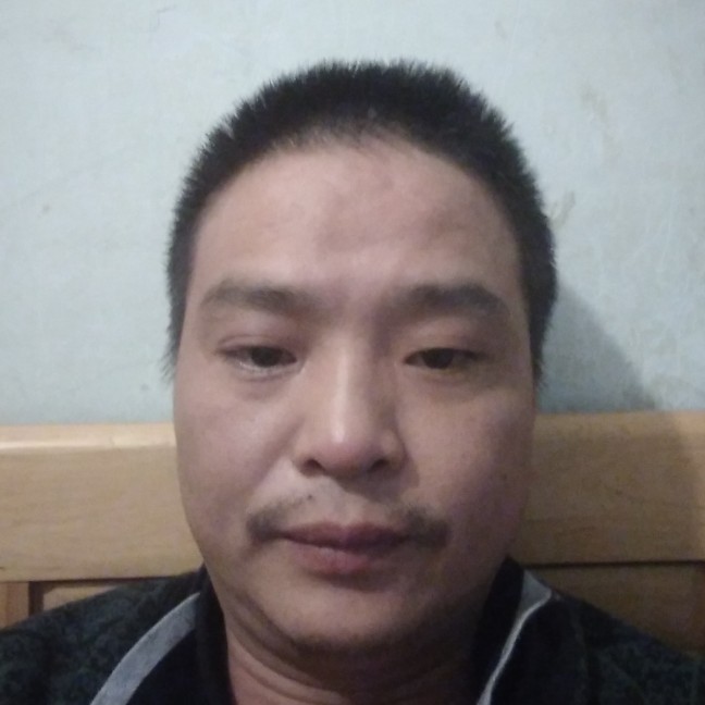 淡然向康乃馨的照片