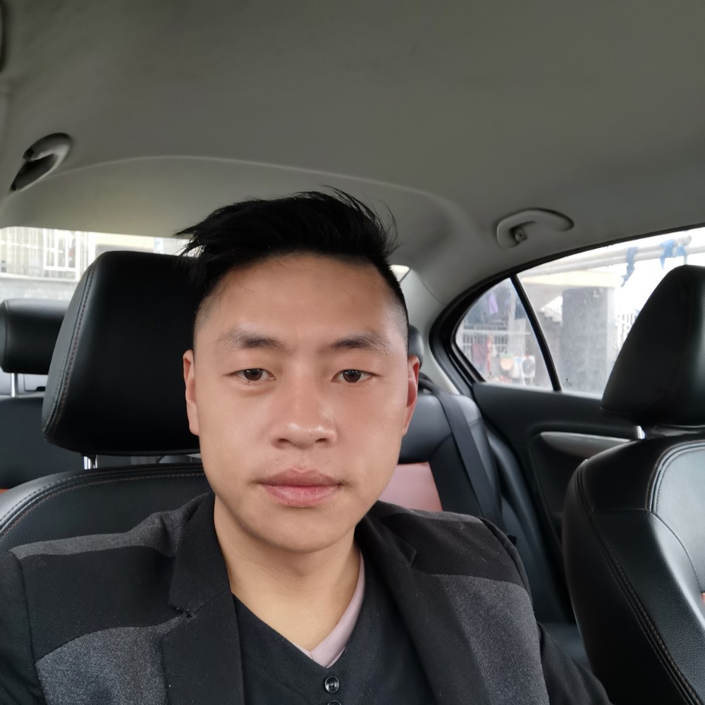 怡然演变大树的照片
