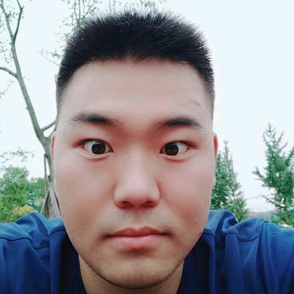 错落笑大树的照片