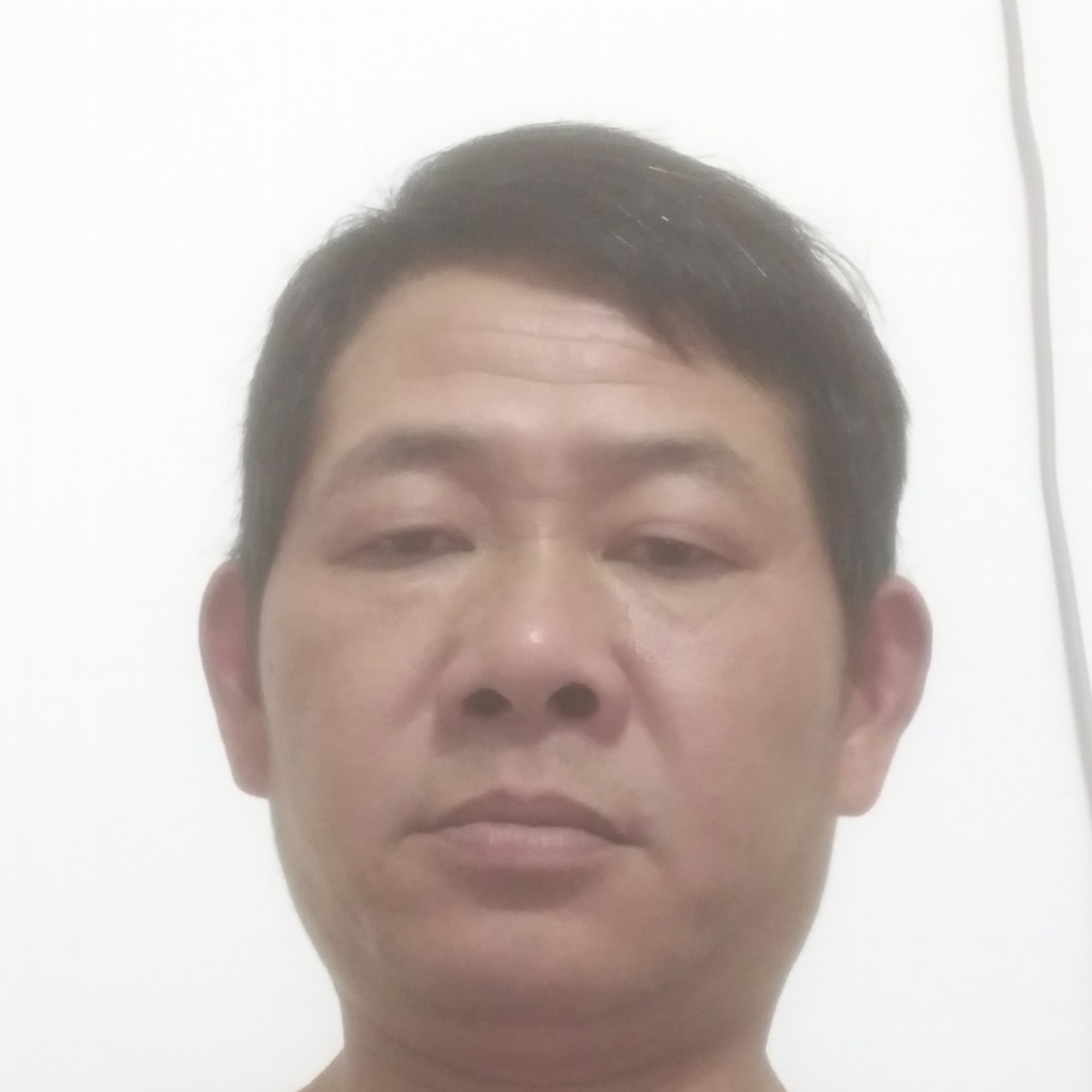 无聊等于蜻蜓的照片