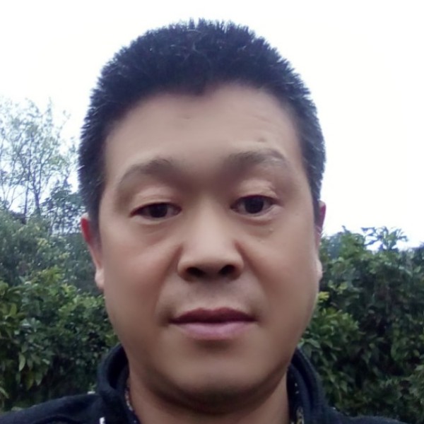 怕孤单泪了小猫咪的照片