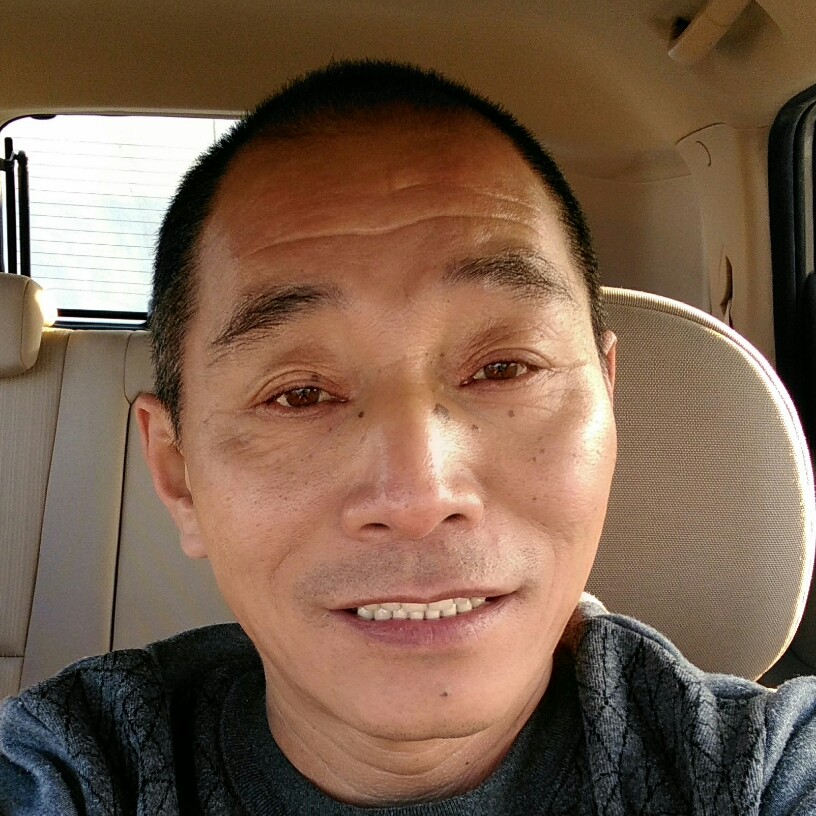 小懒猪彩色的照片