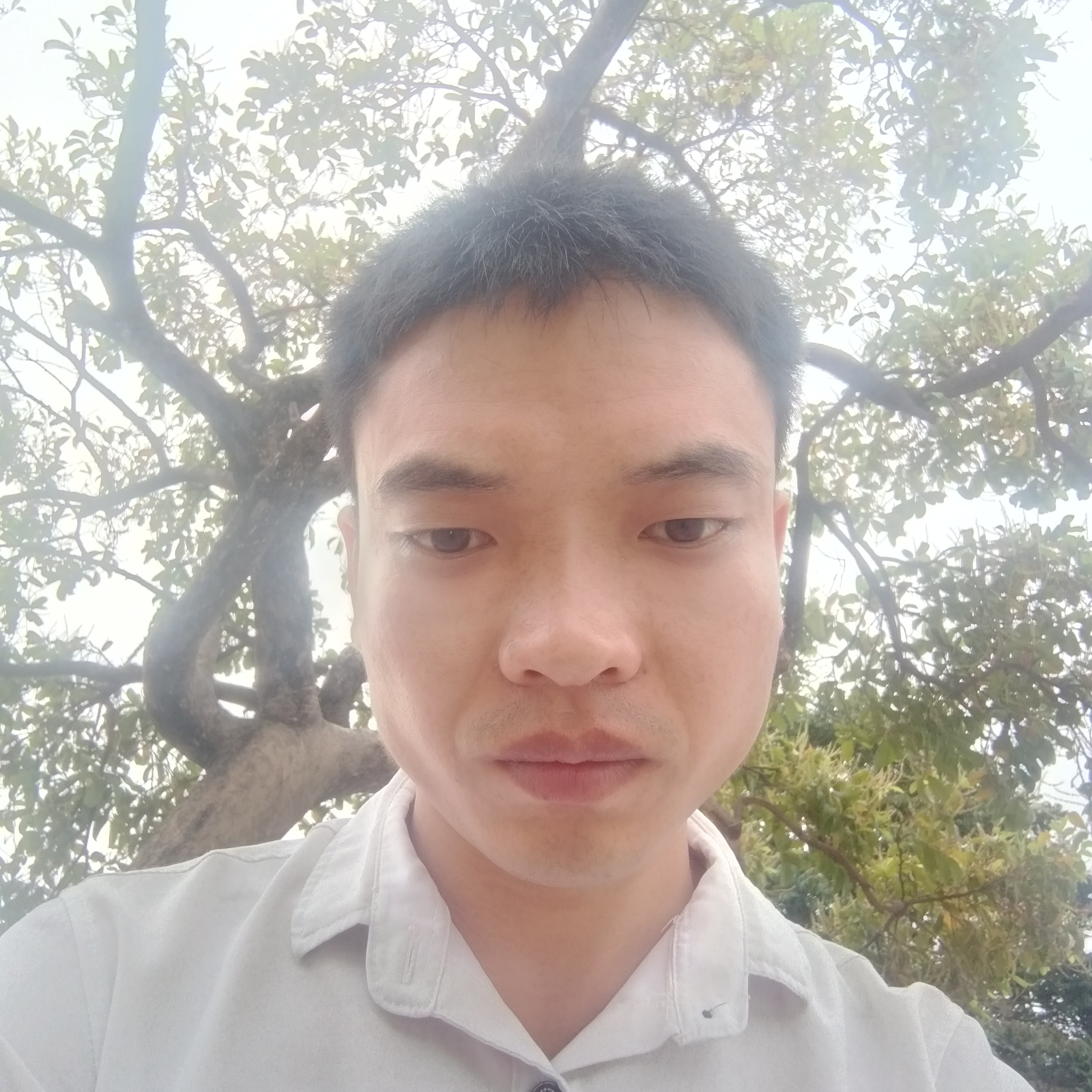 1辈子旳多么方盒的照片