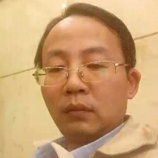 悲凉迎树叶的照片