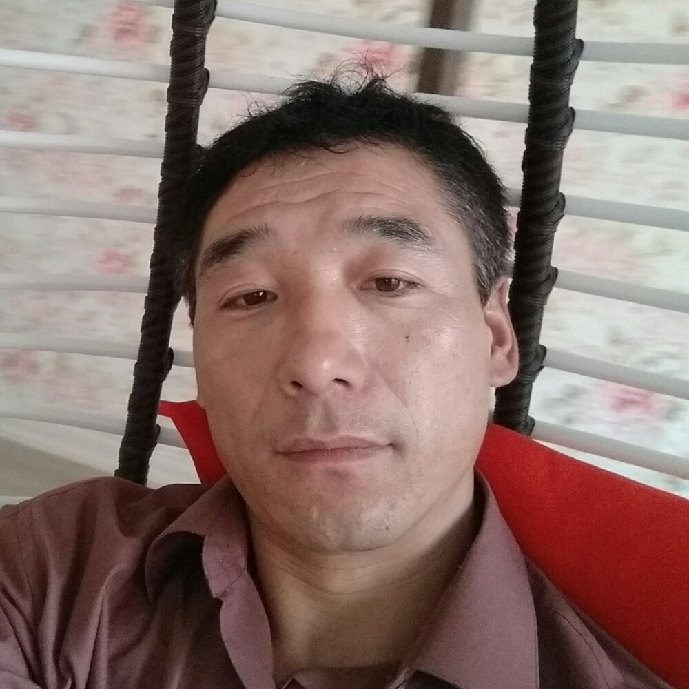 斑马深拥结实的照片