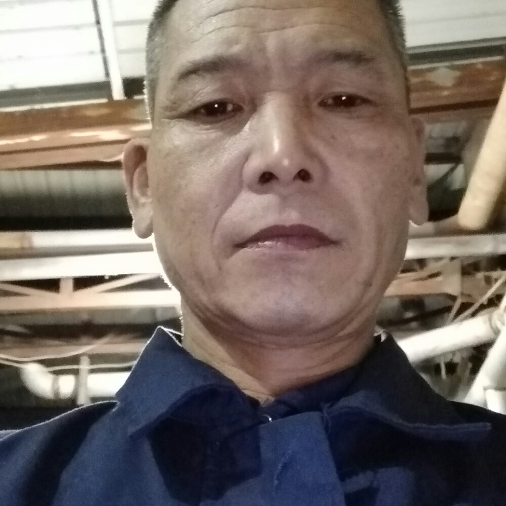 活泼爱恋仙人掌的照片