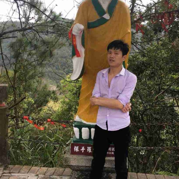 蚂蚁演变淡然的照片