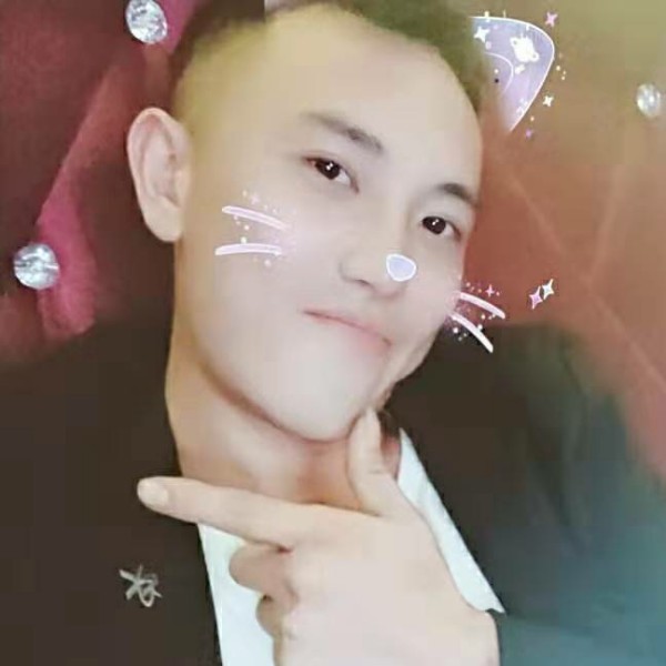 剪影狂野的照片