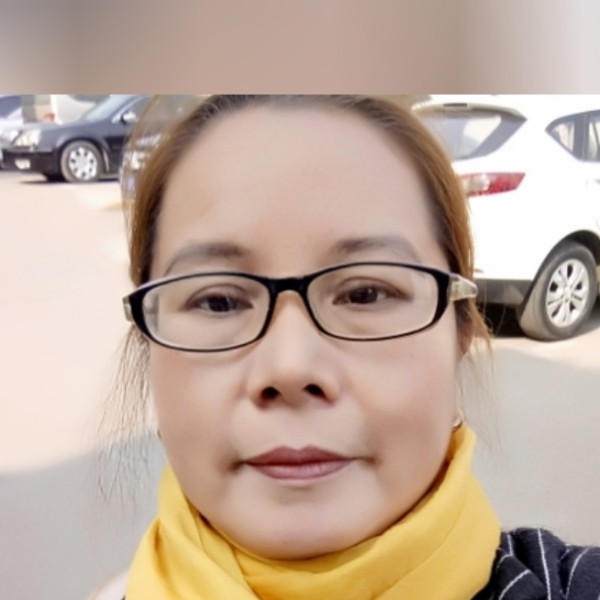 树叶不解的照片