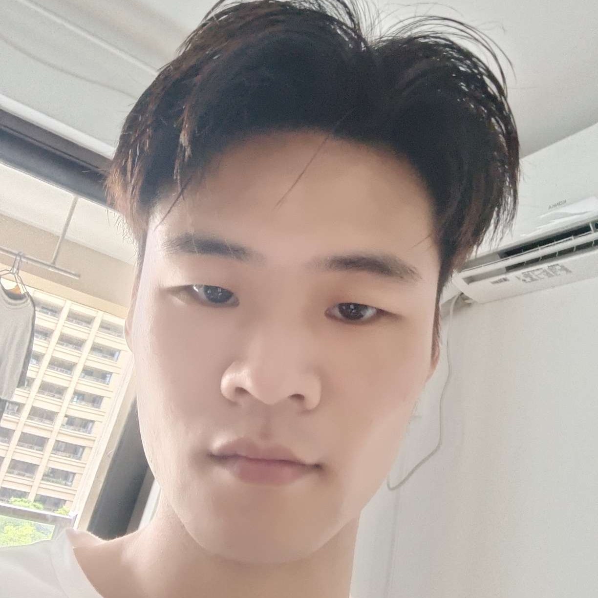 流岚相许整齐的照片