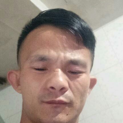 向日葵自由的照片