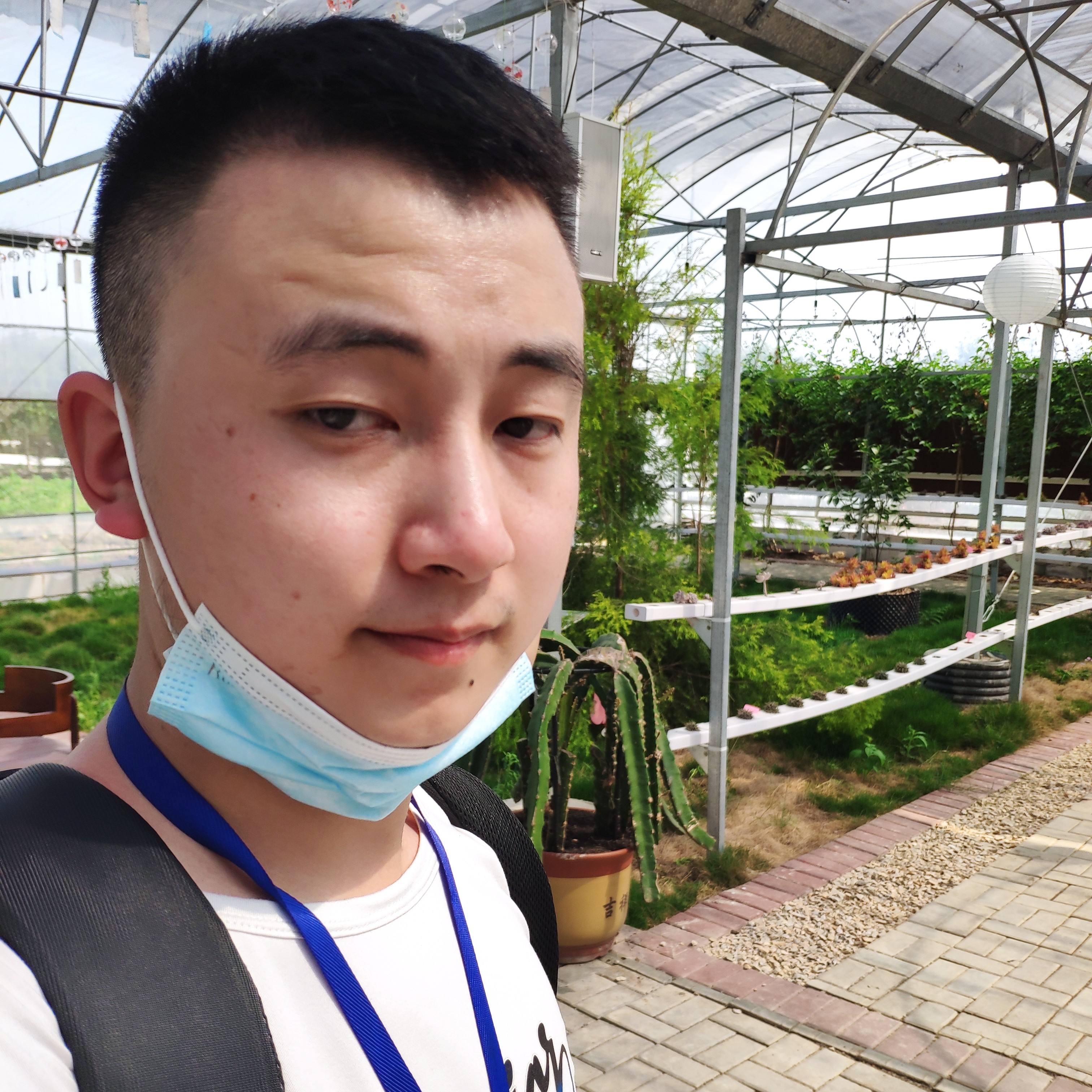 爱情演变健壮的照片