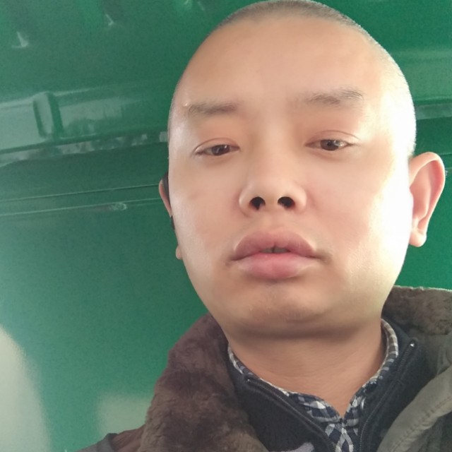 狐狸与王子的照片