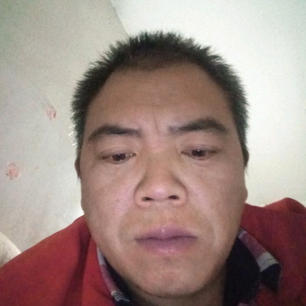 冷静回首大船的照片